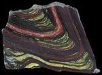 Polished Tiger Iron Stromatolite - ( Billion Years) #65355-1